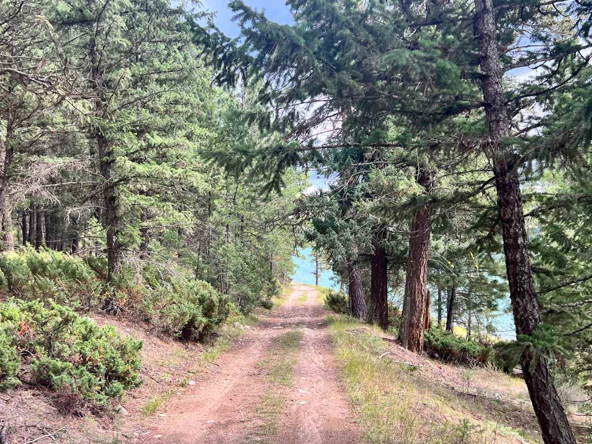 Covalli Central trail photo