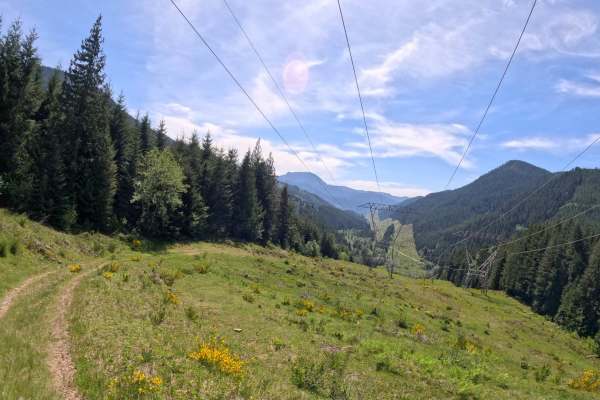 Booger's loop