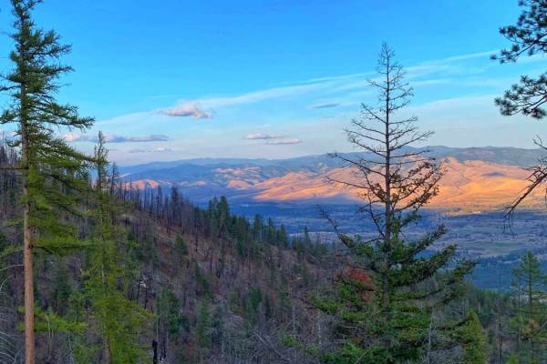 Sweeney Creek Trail
