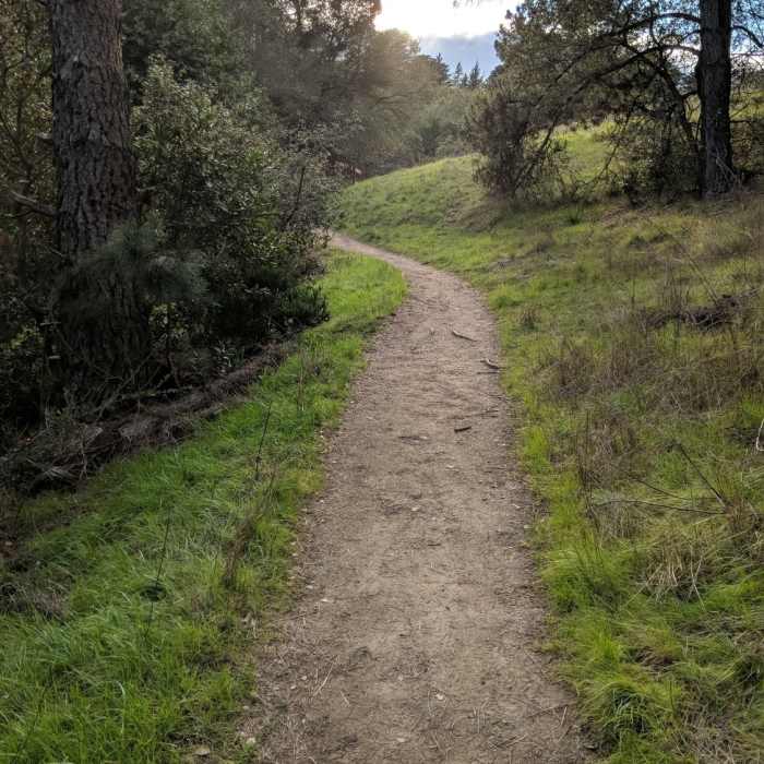 Near Redwood Regional Loop