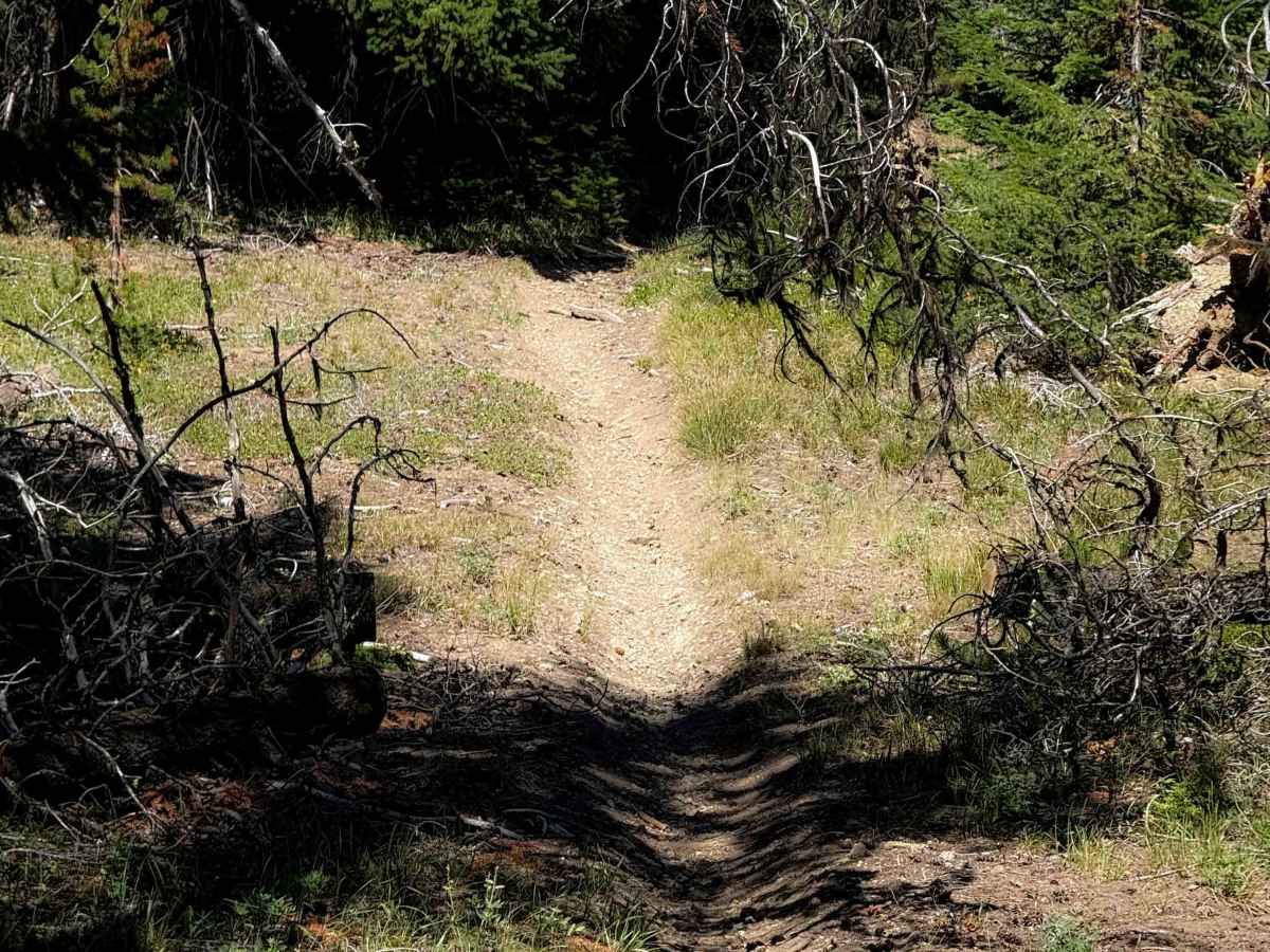 Lightening Point Trail 1377.2  photo 6
