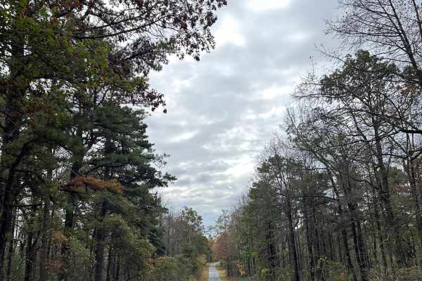Ridge Road Extension