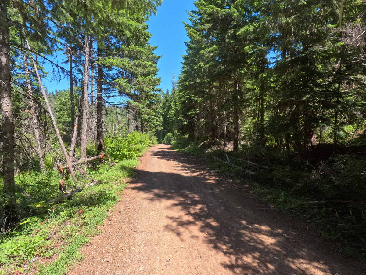 Corral Creek - FS 4305 photo 4