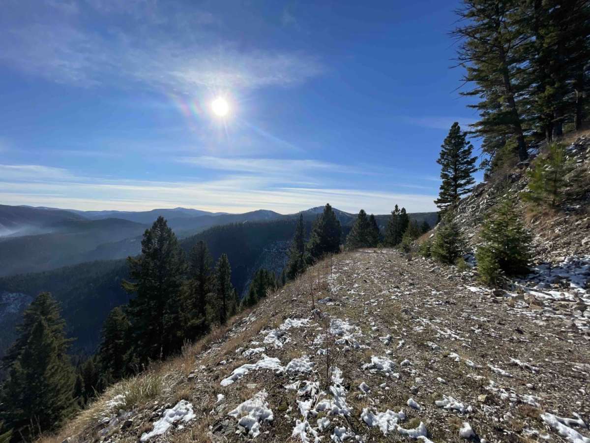 Coal Creek Offshoot trail photo
