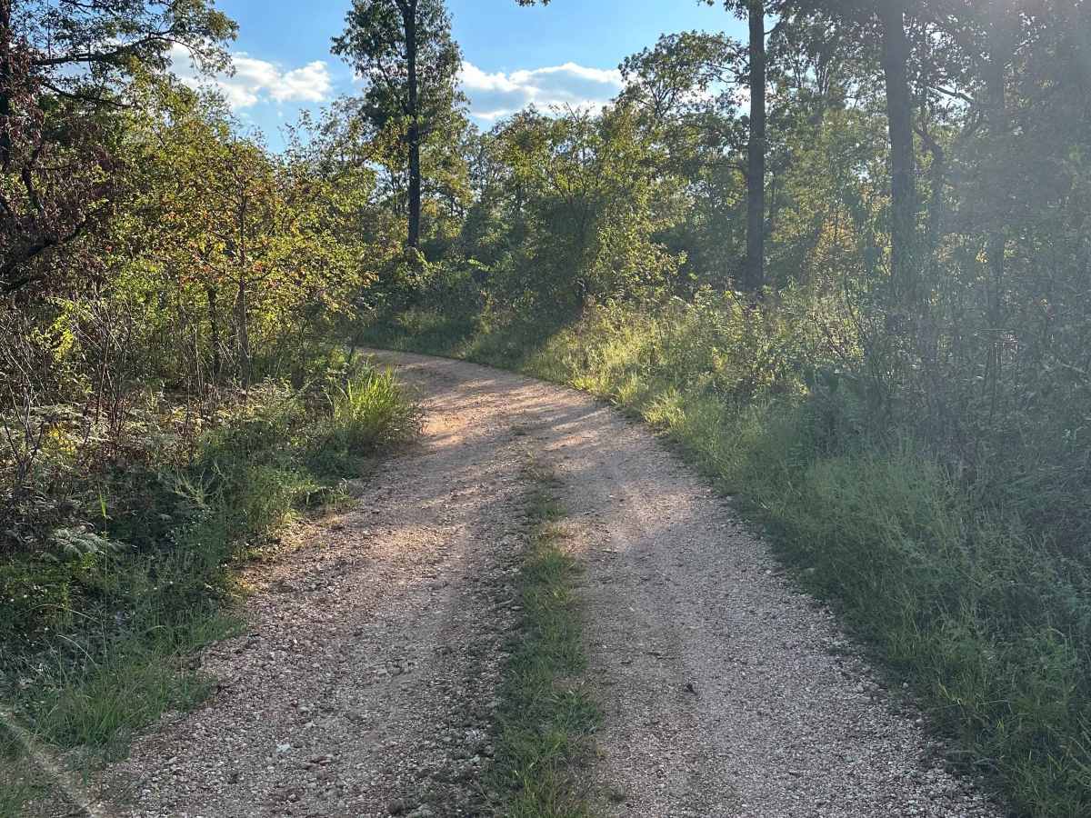 Twin Knobs trail photo