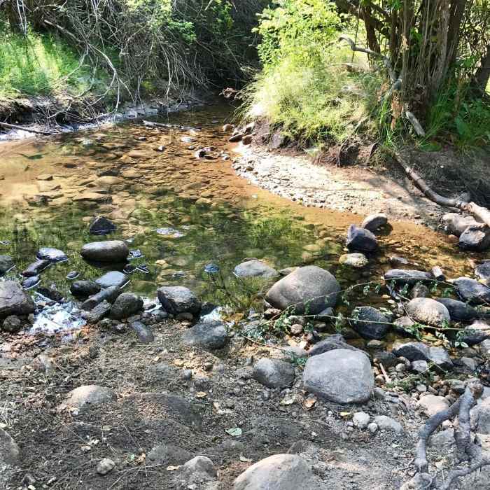 "Dry" Creek! Near Dry Creek