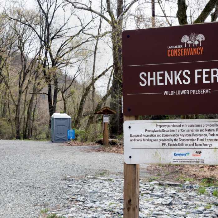 Near Shenks Ferry Wildflower Preserve Trail