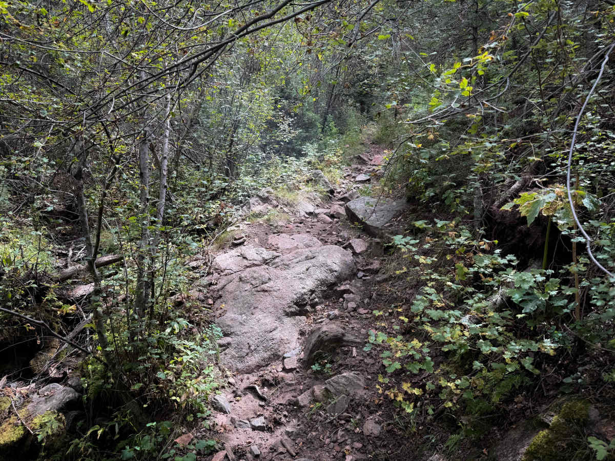Lion Canyon Trail 1329  photo 5