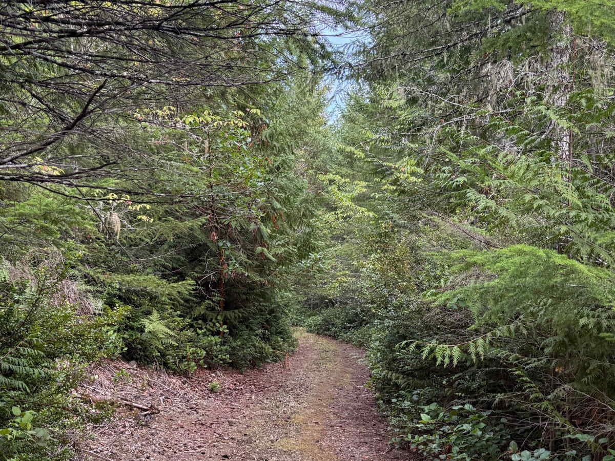 Plant Cave Trail photo 4
