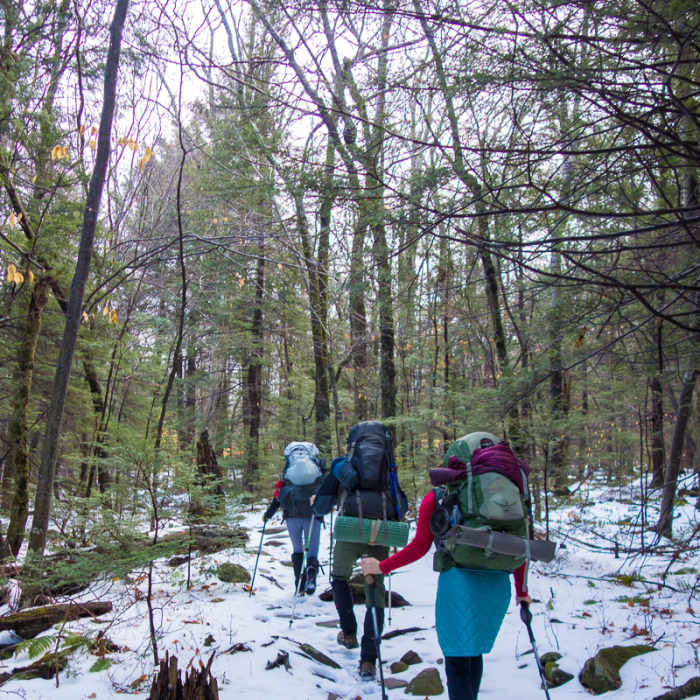 Leaving the Prediger Rd trailhead at the beginning of the Devil's Path. Near Overlook Trail
