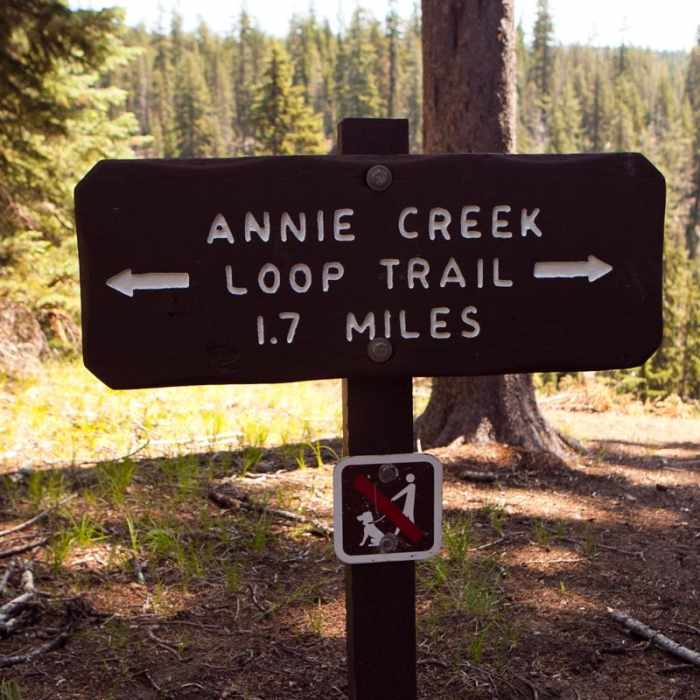 Near Annie Creek Canyon Loop Trail