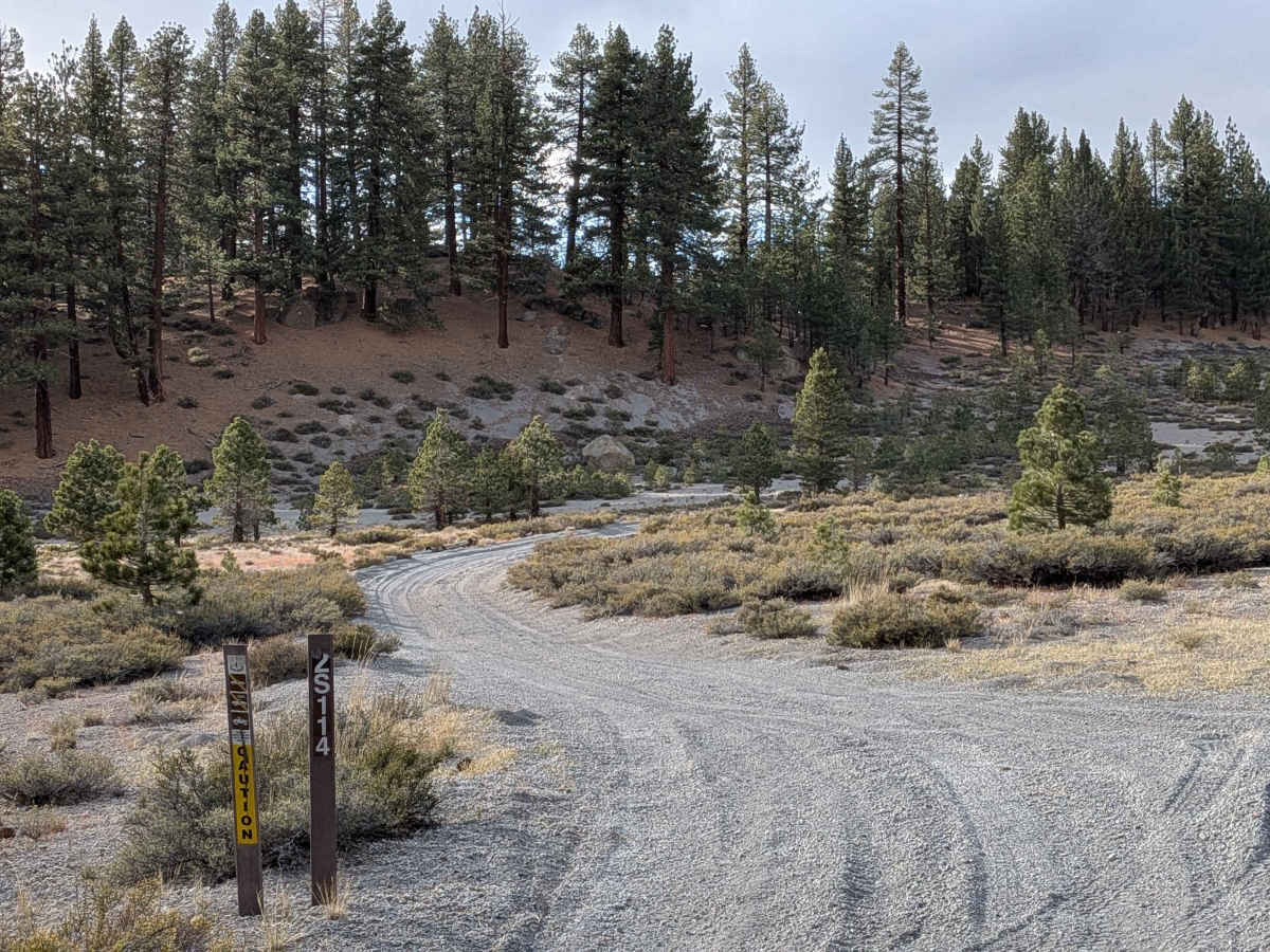 FS 2S114 trail photo