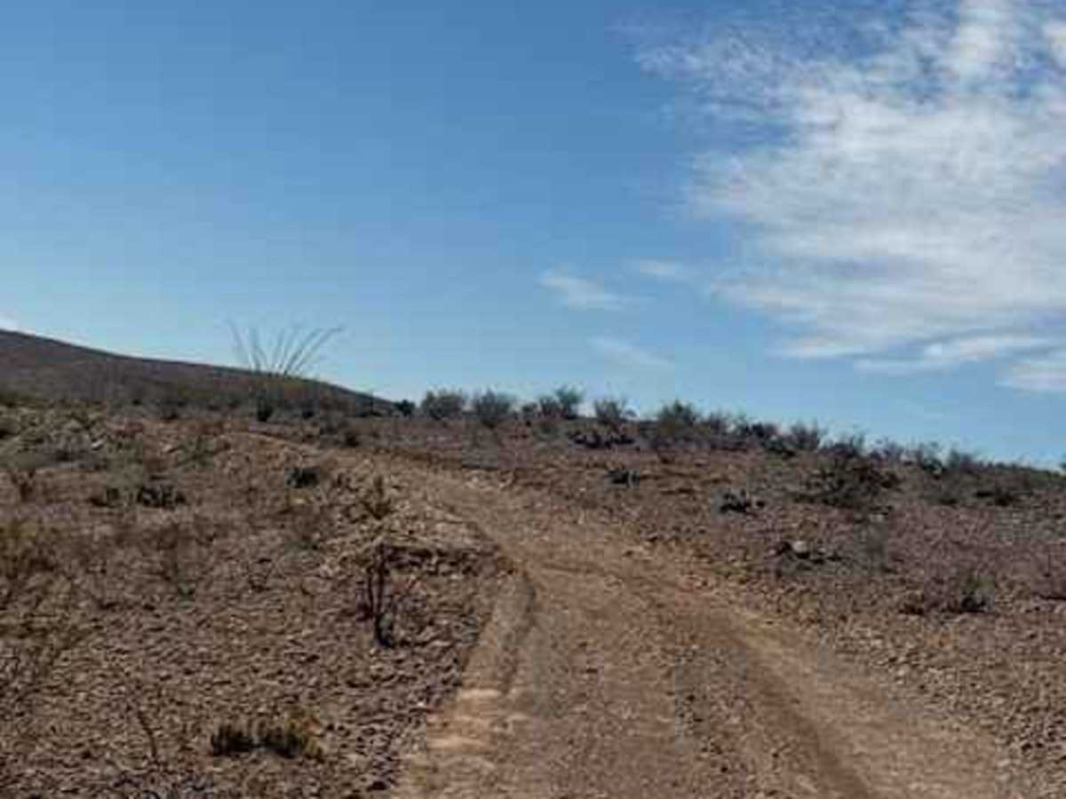 BLM PE1025 photo 6