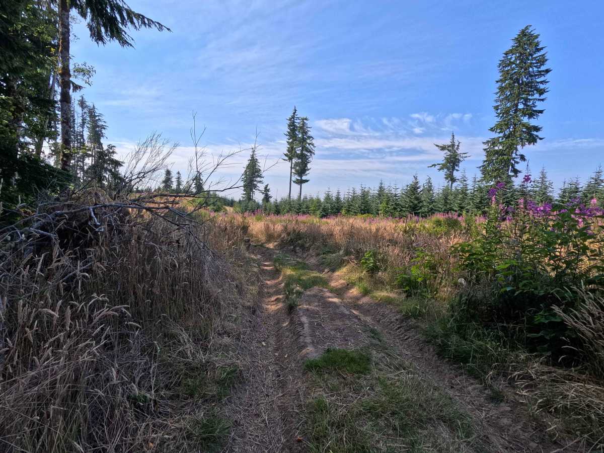 Sunset Trail photo 5