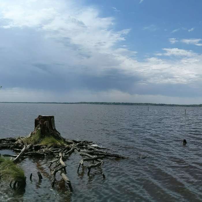 Near Goose Creek Trail