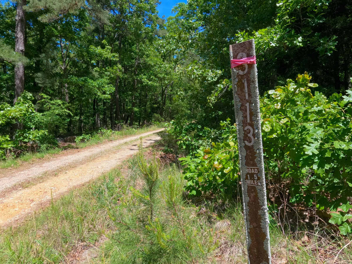 Breeze Tower - FS 3113 trail photo