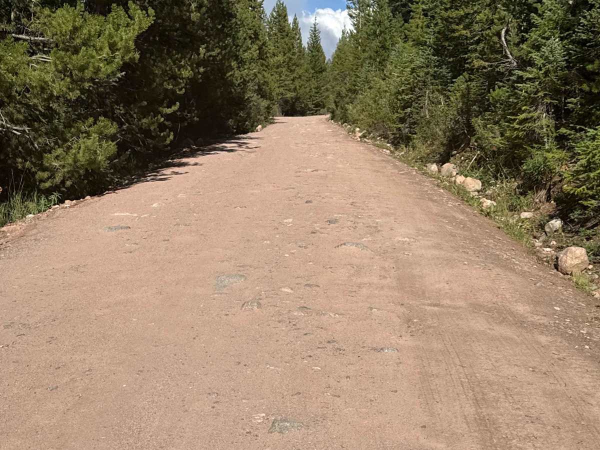South Fork Piney - FS 701 photo 3