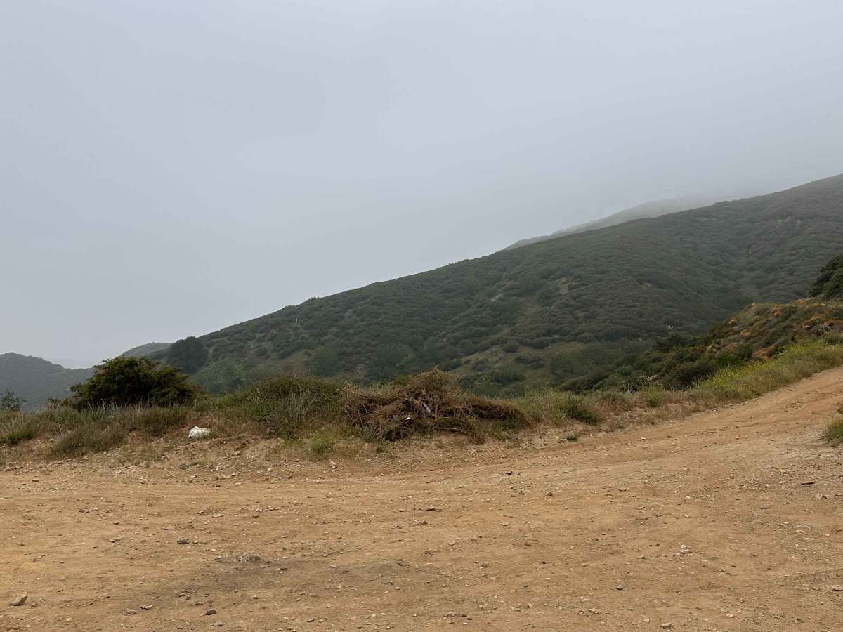 Dusty Spur photo 5