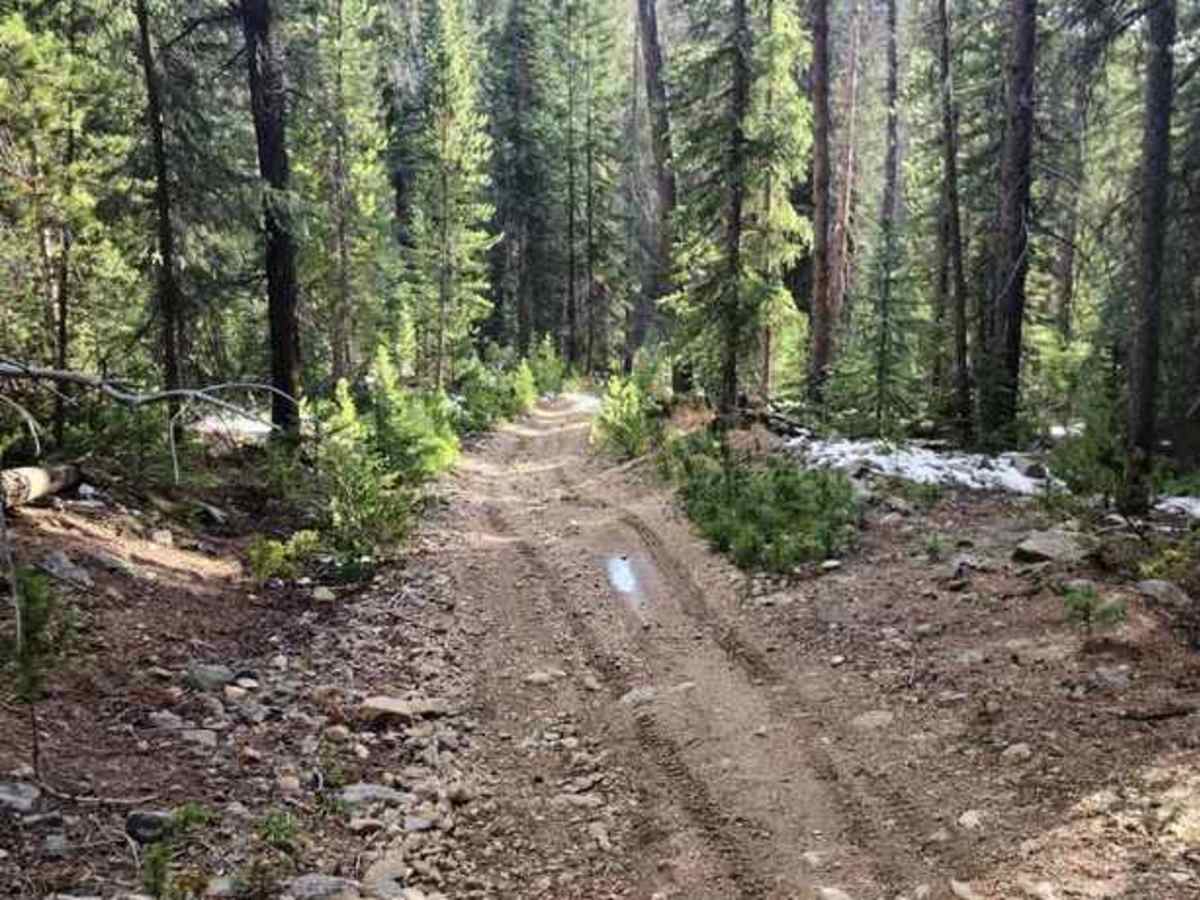 Straight Creek photo 3
