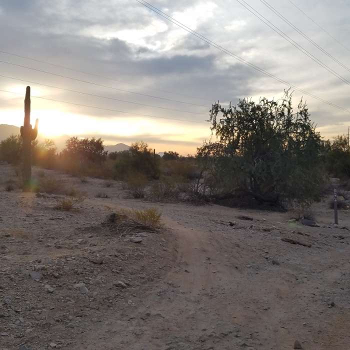 Near Estrella Foothills Loop