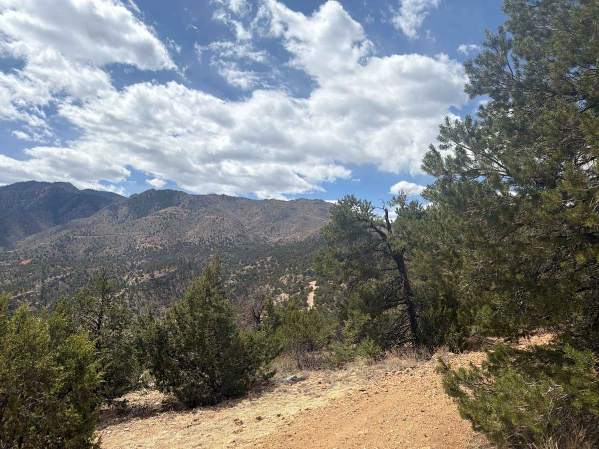 BLM 6182 photo 4