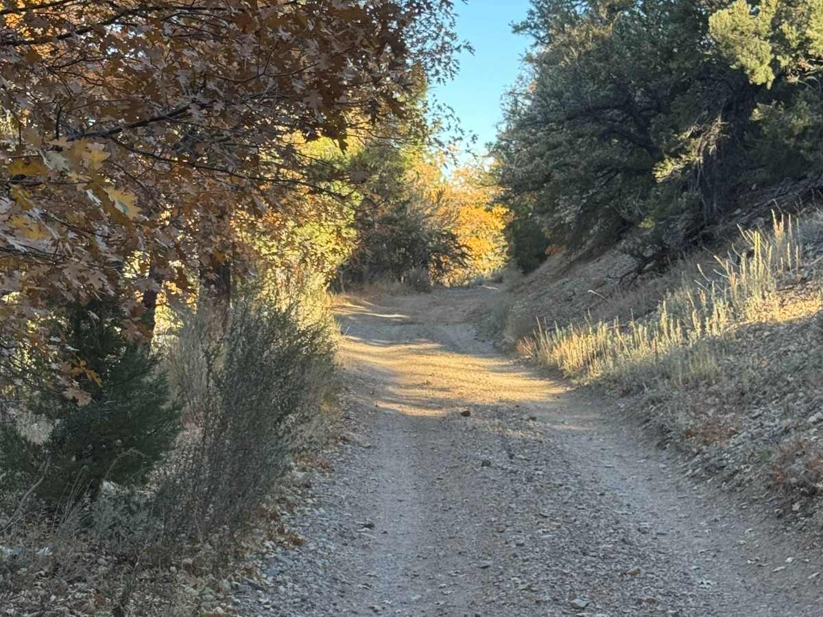 Sand Canyon - FS 2N27 photo 6