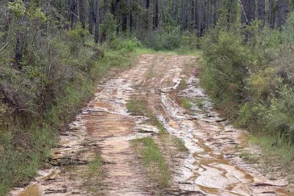 Blackwater River R74