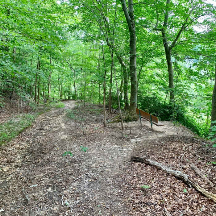 Bench about the halfway mark. Near Parkers Creek Loop