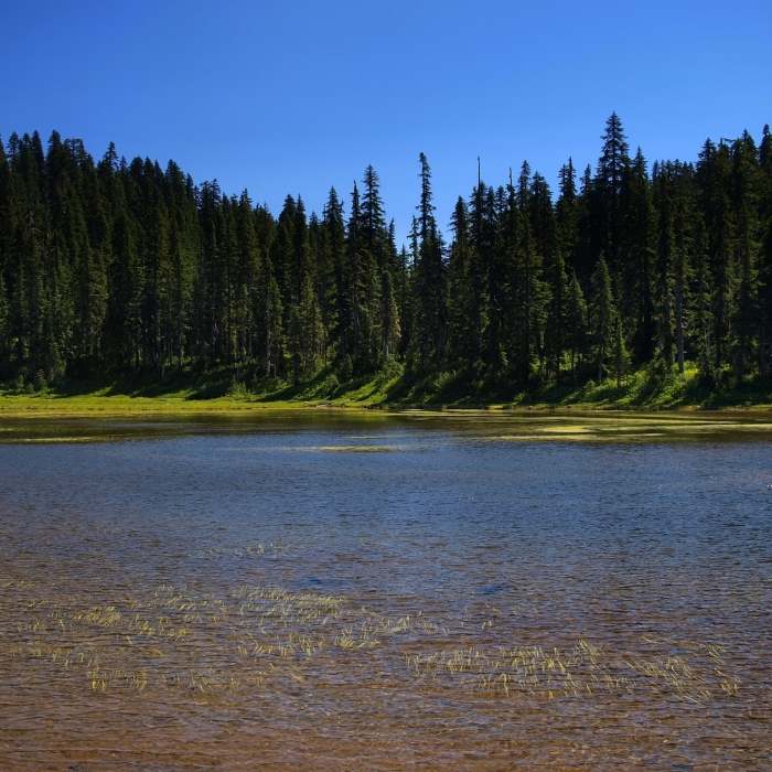 Near East Crater Trail #48