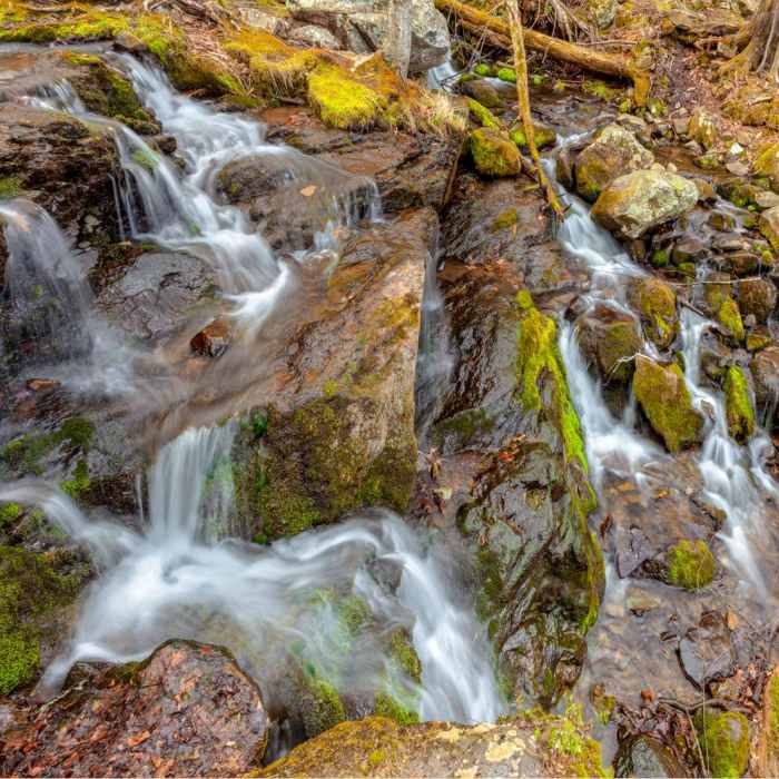 Near Lewis Falls from Big Meadows Campground