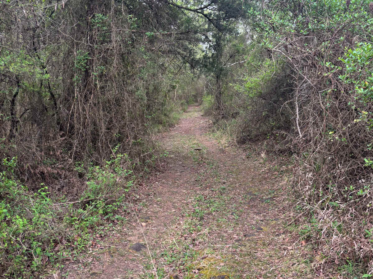 Point Remove Creek Spillway trail photo