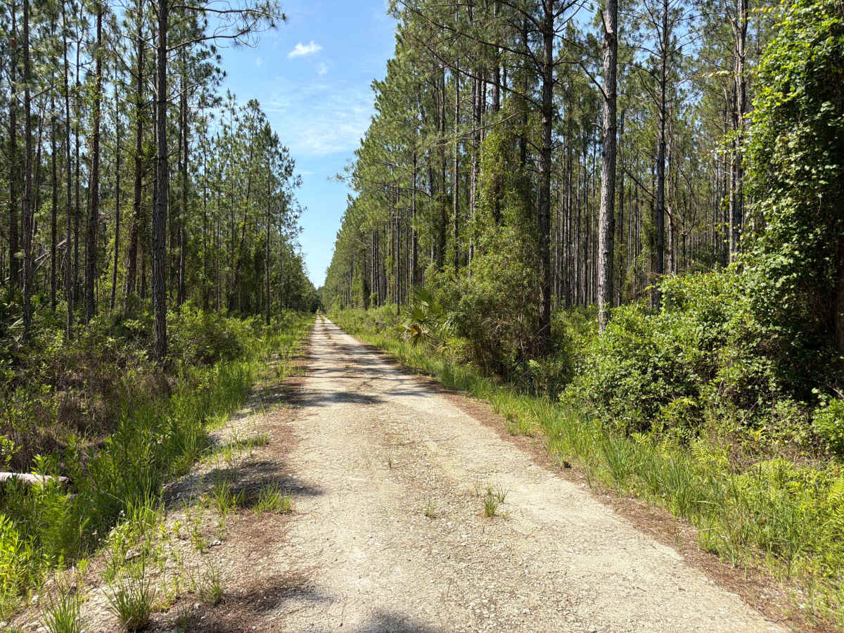 Green‘s Road photo 3