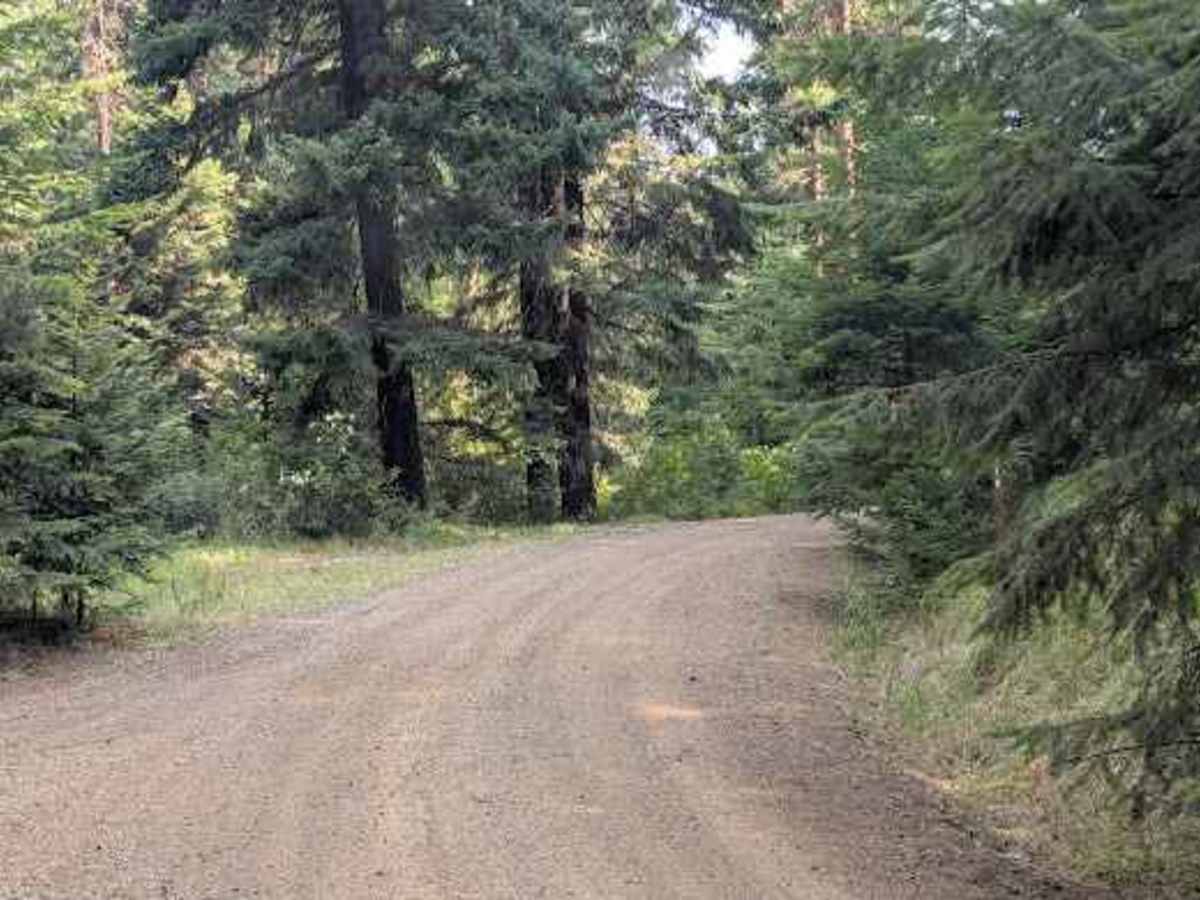 Cougar Spur - FS 9718-118 photo 2