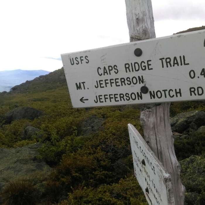 Upper Trail Junction Near Caps Ridge Trail