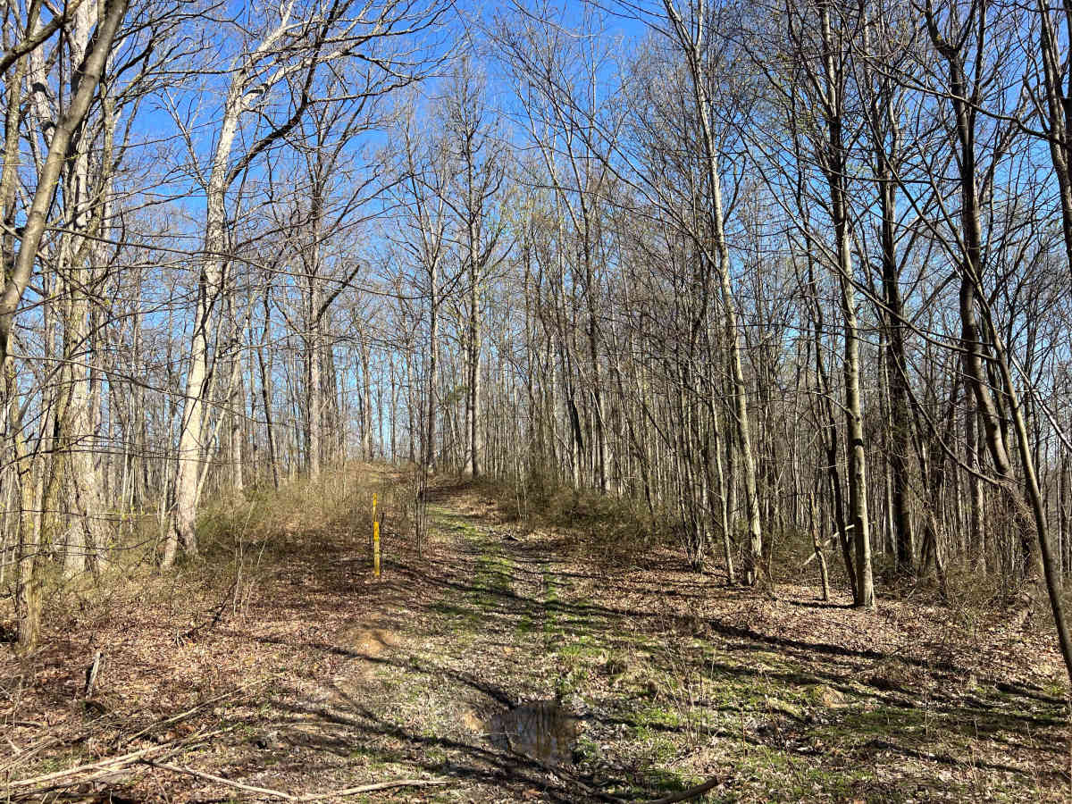 Q42C photo 3