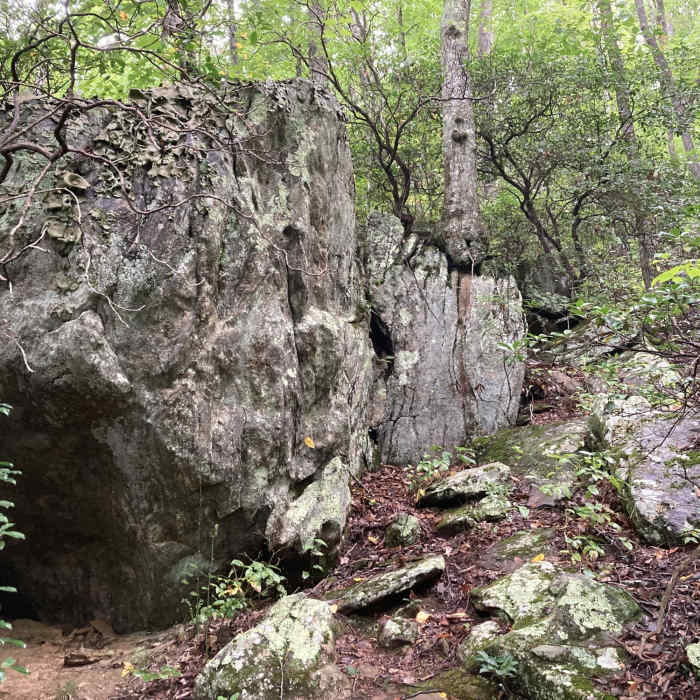 Beginning of Cold Mountain. Near Art Loeb Trail