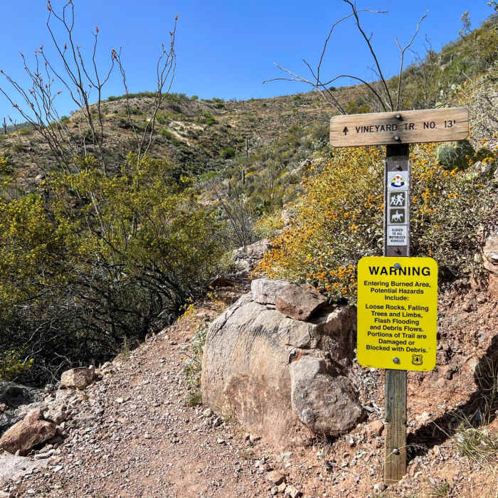 Near Vineyard Trail #131