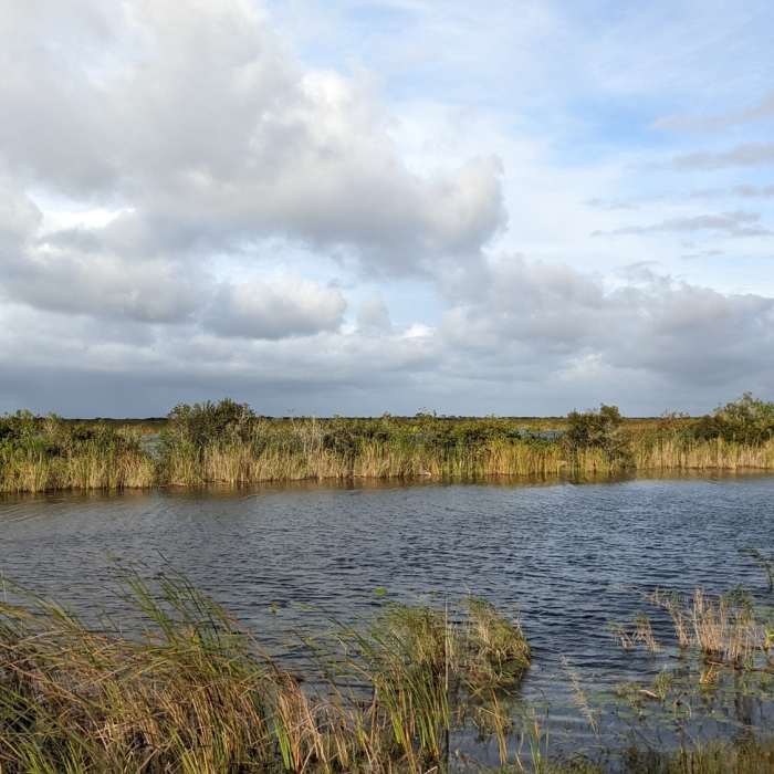 Gravel flat trail along canals and waterways! Near Loxahatchee National Wildlife Refuge