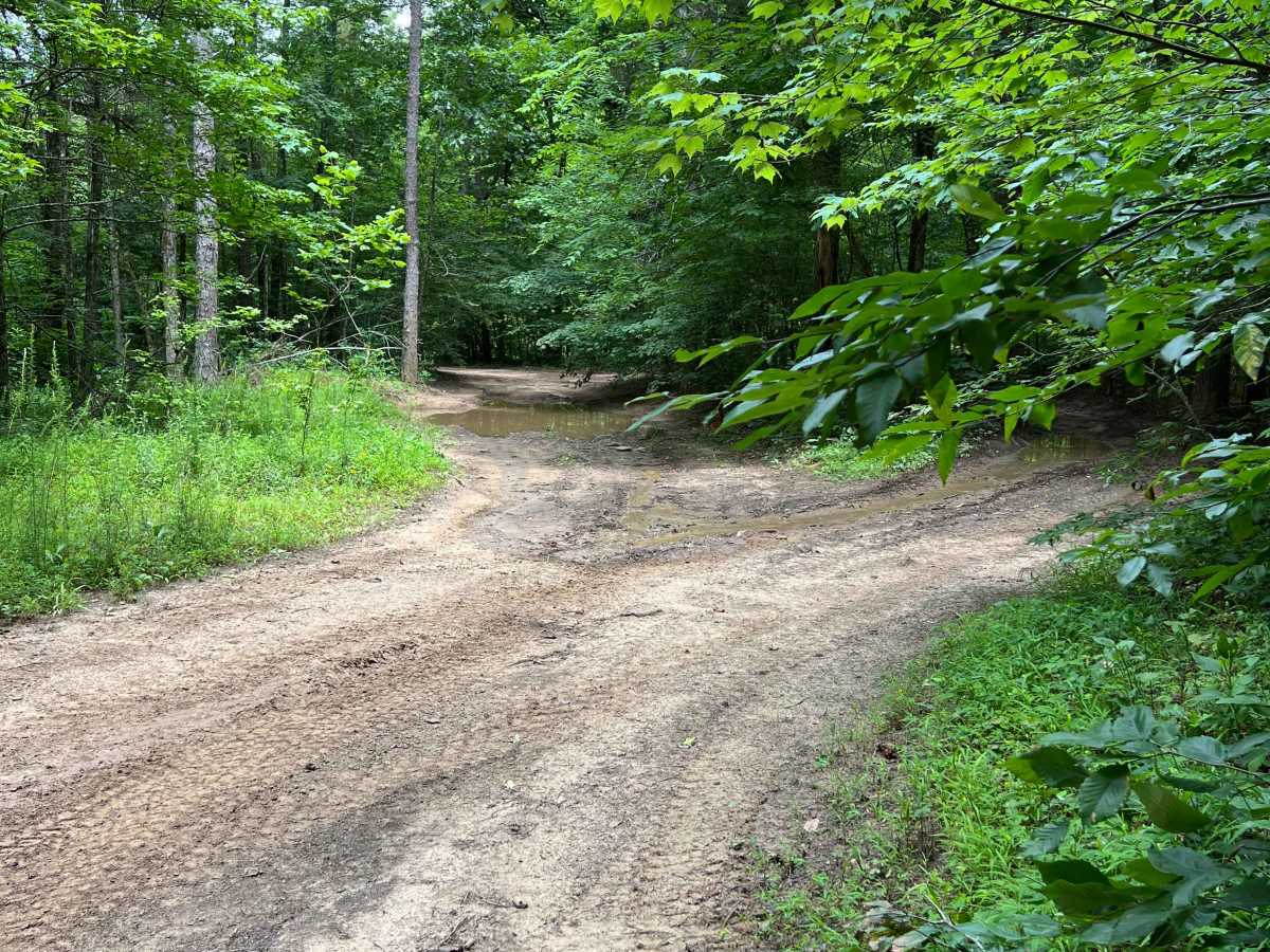 Murray creek trail photo