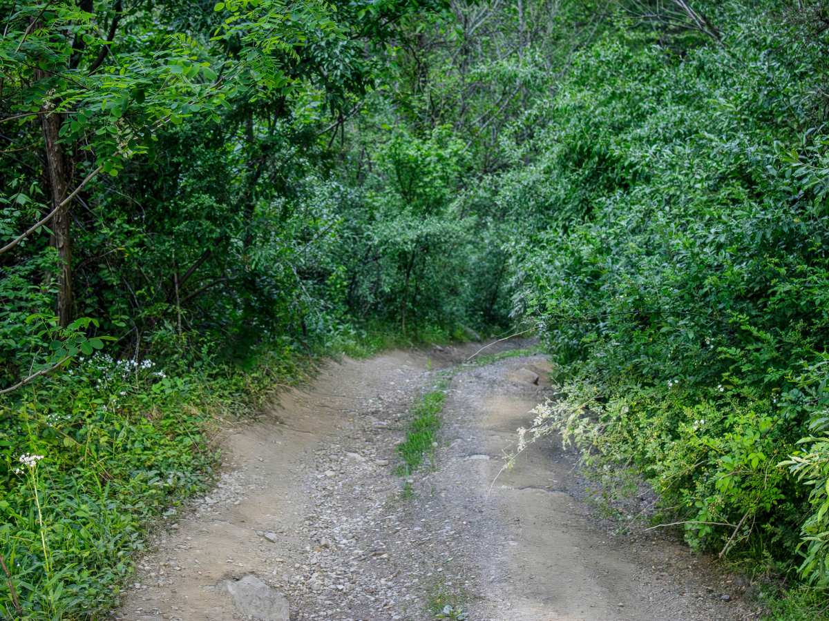Phillips Cemetery Lane photo 2
