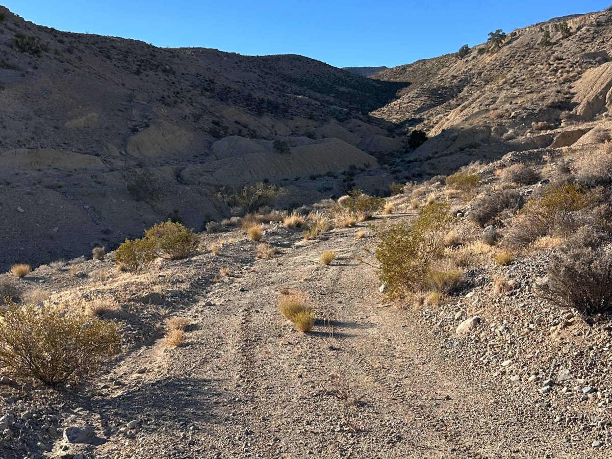 Boulder Crest photo 6