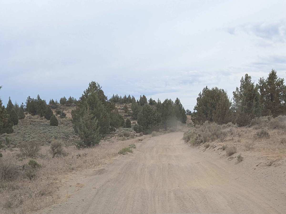 Cline Buttes OHV Trail 32 photo 6