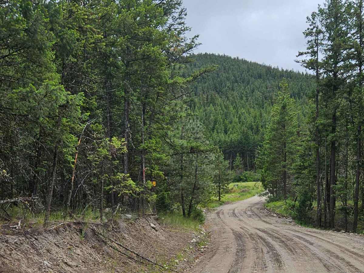 Scuitto Lake Road photo 3