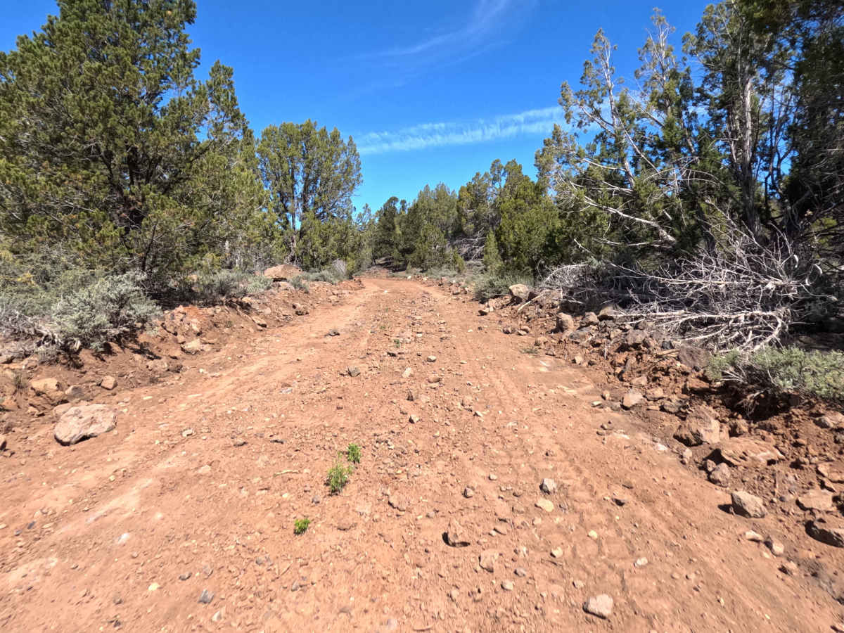 BLM 115 trail photo