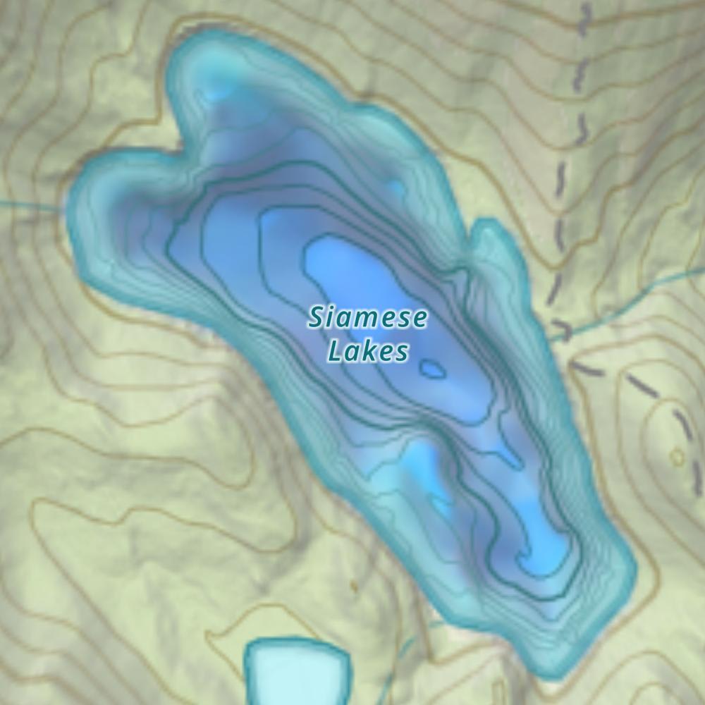 Lower Siamese Lake photo