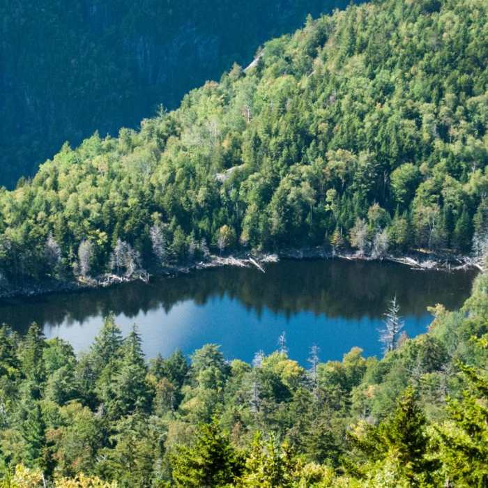 Near Giant Mountain Near Giant Mountain