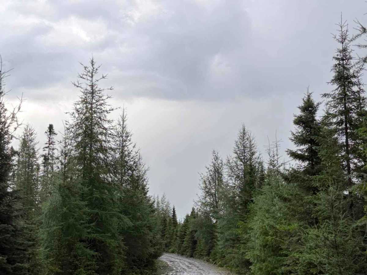 Chemin Bras-d'Apic photo 5
