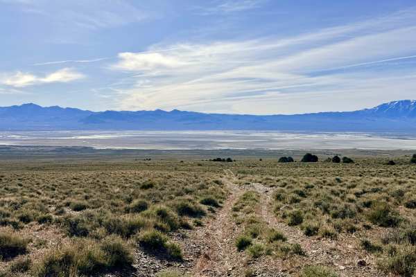 Trail Canyon - FS 43338