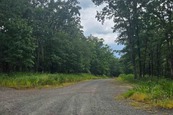 Cottonwood Road