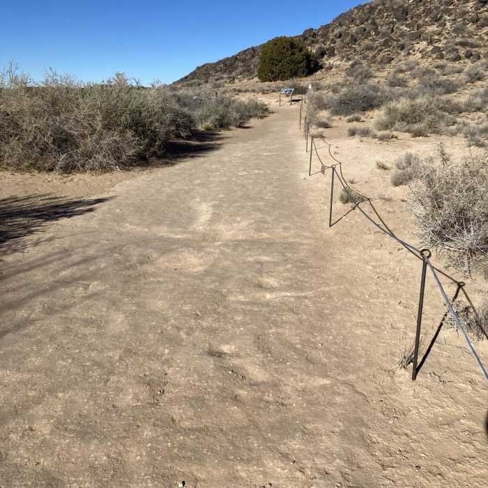 Near Piedras Marcadas Canyon Trail